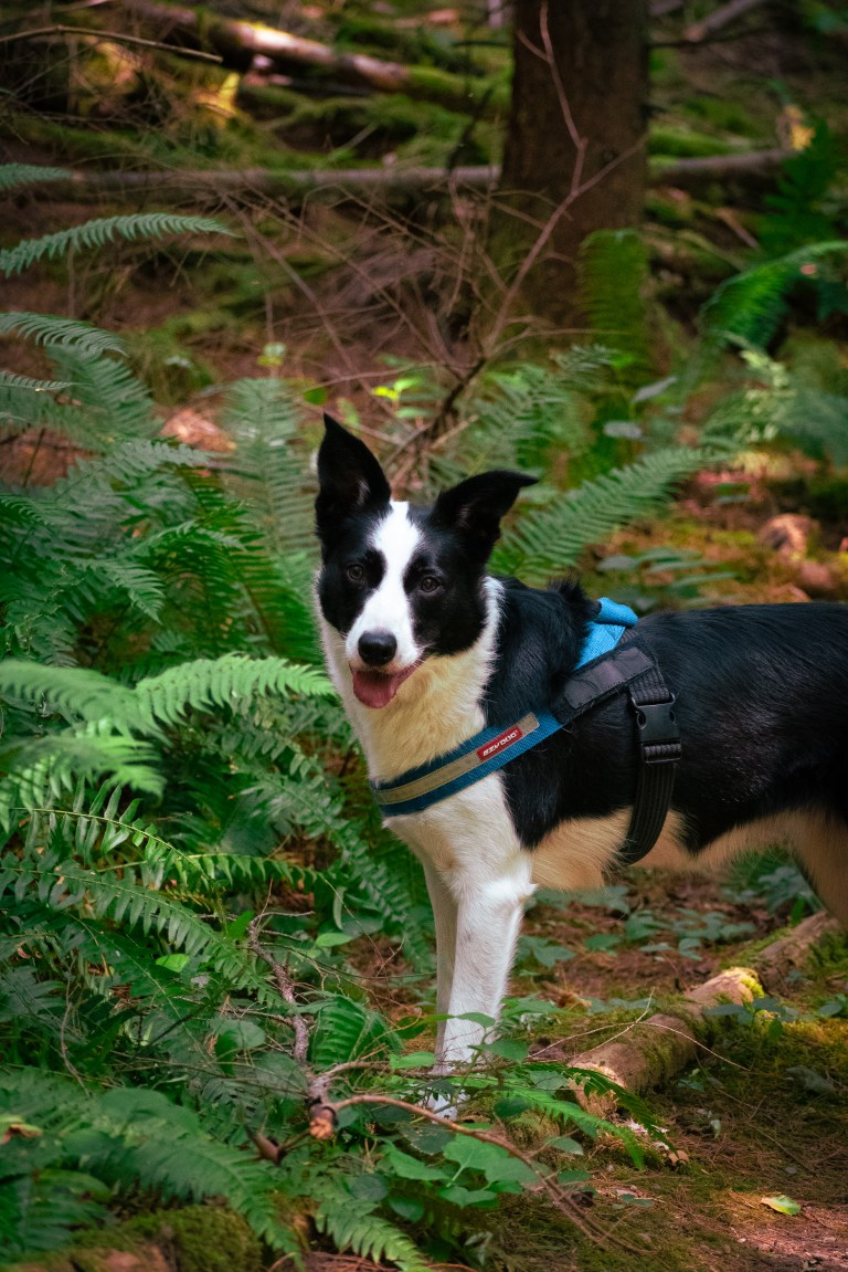 Snaps at Paradise Valley Conservation Area